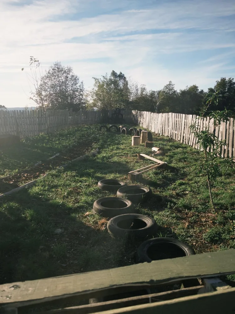 A winding balancing route made with tyres and timber in the garden